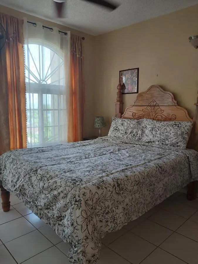 Elegant Condo Awesome View Ocho Rios Apartment